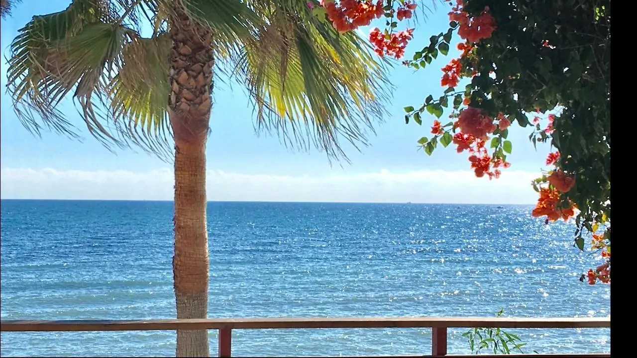 Mi Capricho A17 Beachfront Apartment La Cala De Mijas Spain